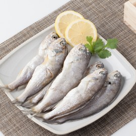 황금빛 프리미엄 부세굴비